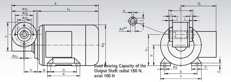 worm geared motors-dig.jpg