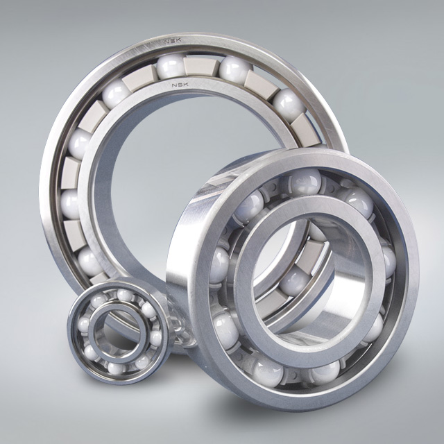 ESZ bearings.jpg