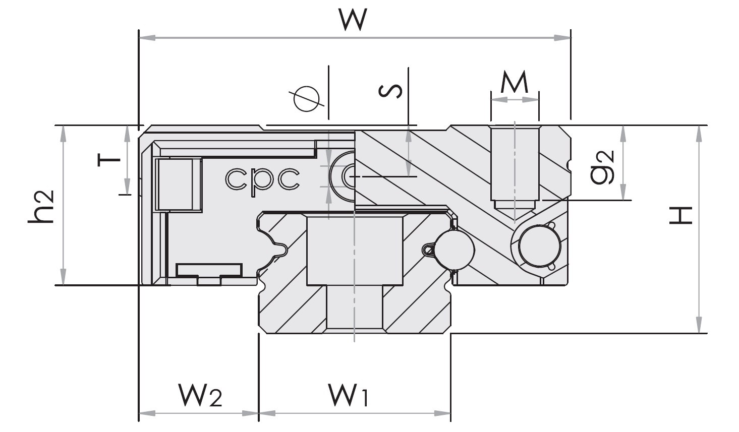 Copy of MR Series - dig.jpg