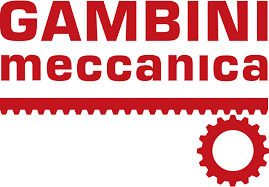 Gambini Gambini