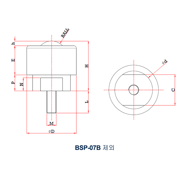 BSP Bolt Type (1).jpg